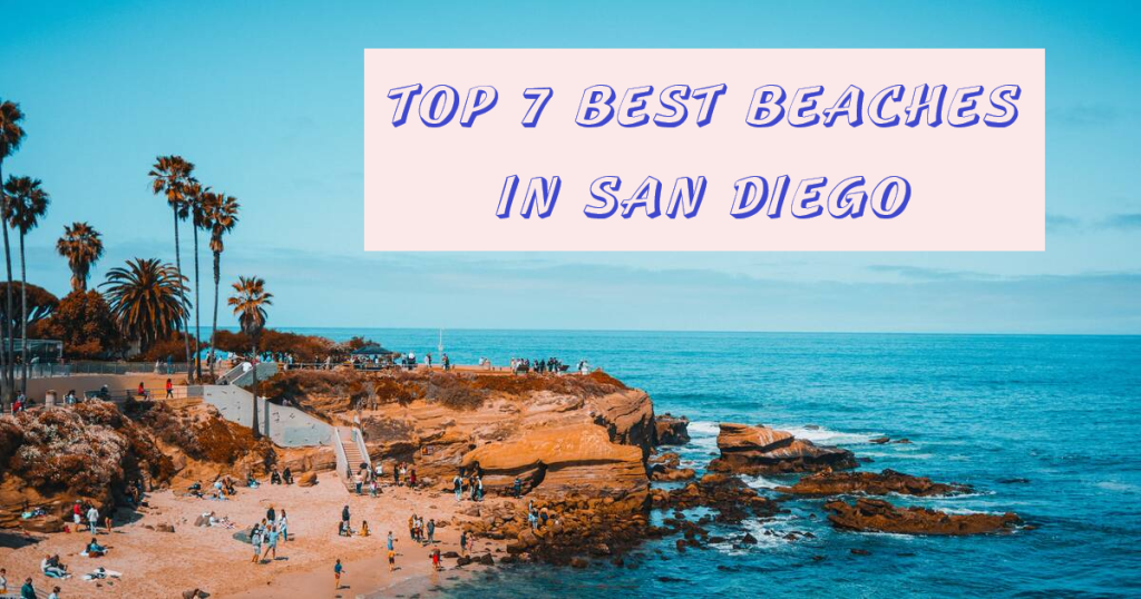 Top 7 Best Beaches In San Diego